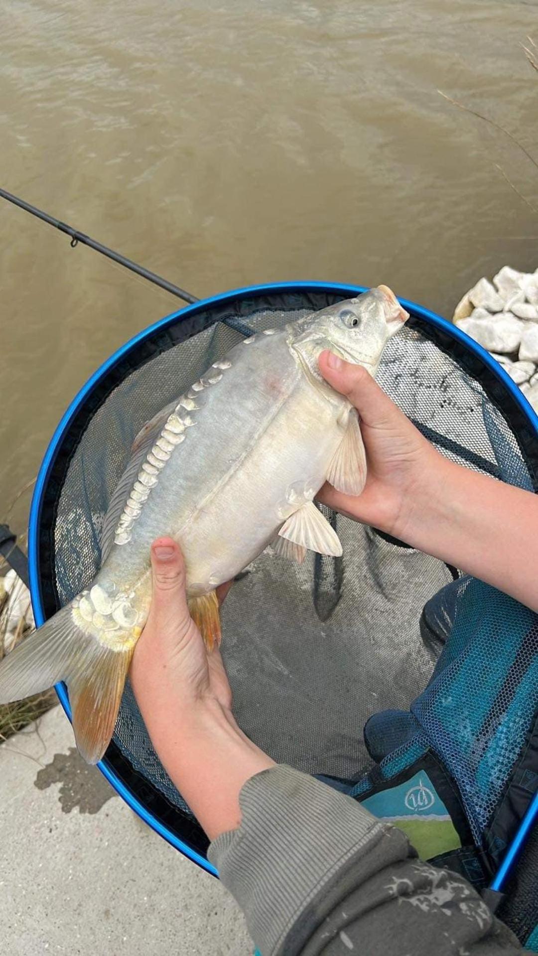 Lakeside Fishing Retreats Boston Ruang foto