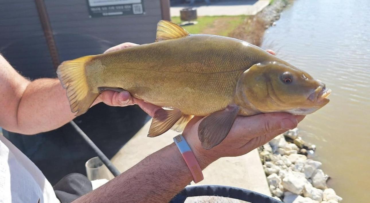 Lakeside Fishing Retreats Boston Ruang foto