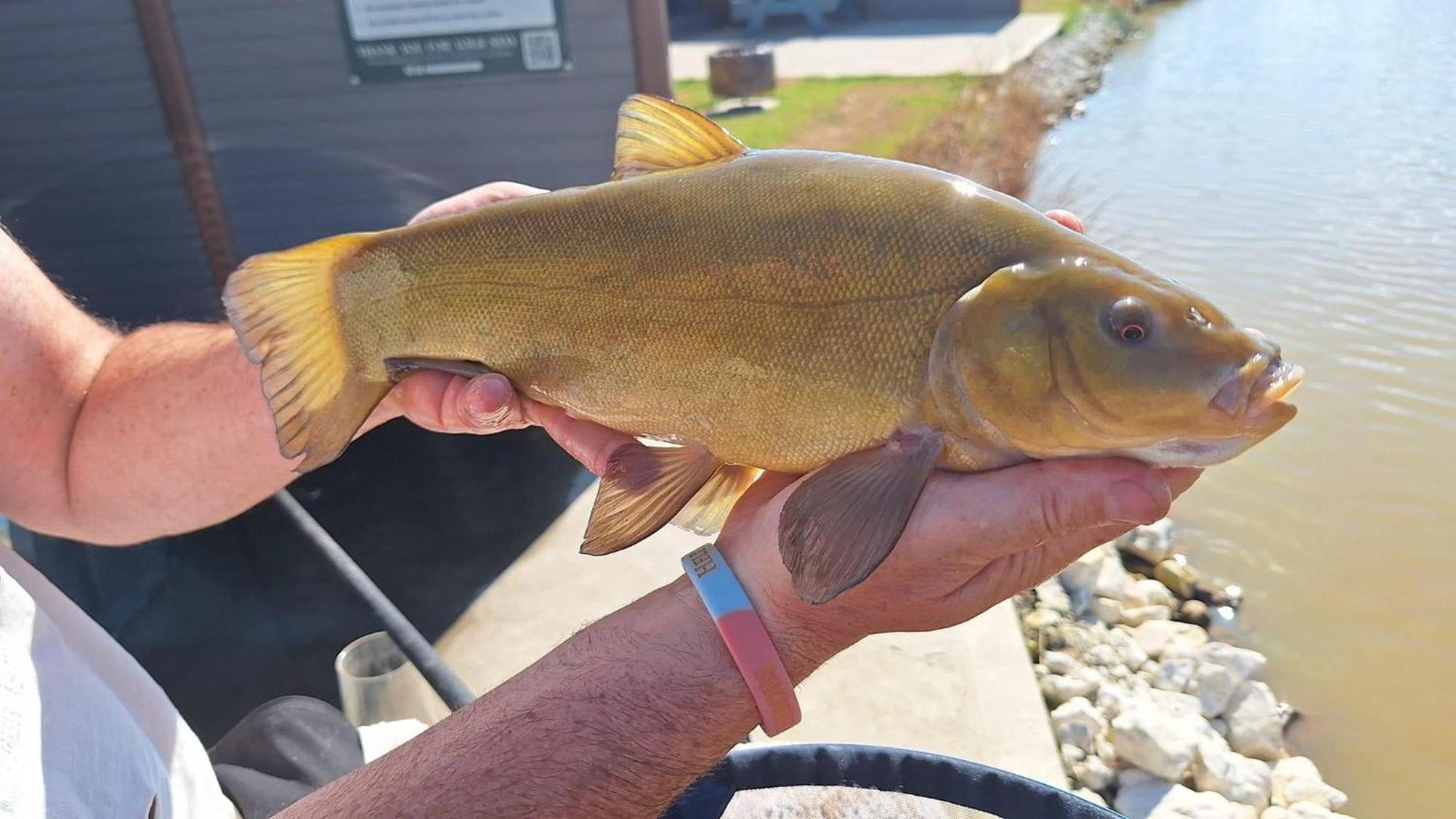 Lakeside Fishing Retreats Boston Ruang foto