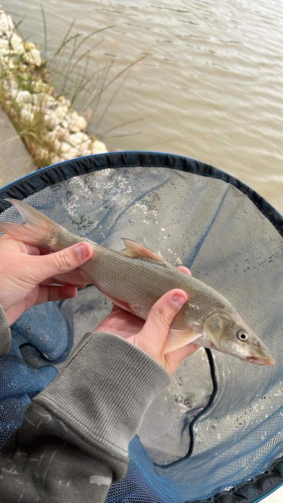 Lakeside Fishing Retreats Boston Ruang foto
