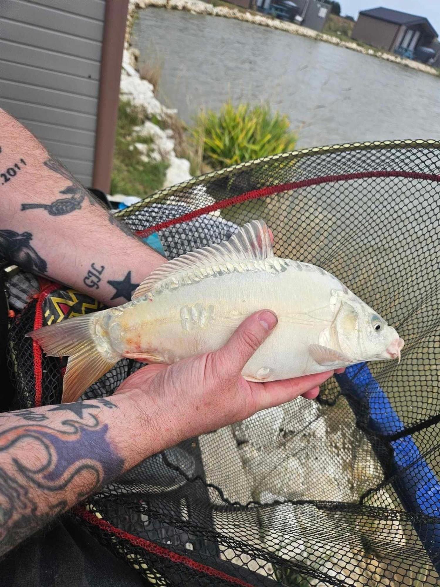 Lakeside Fishing Retreats Boston Ruang foto