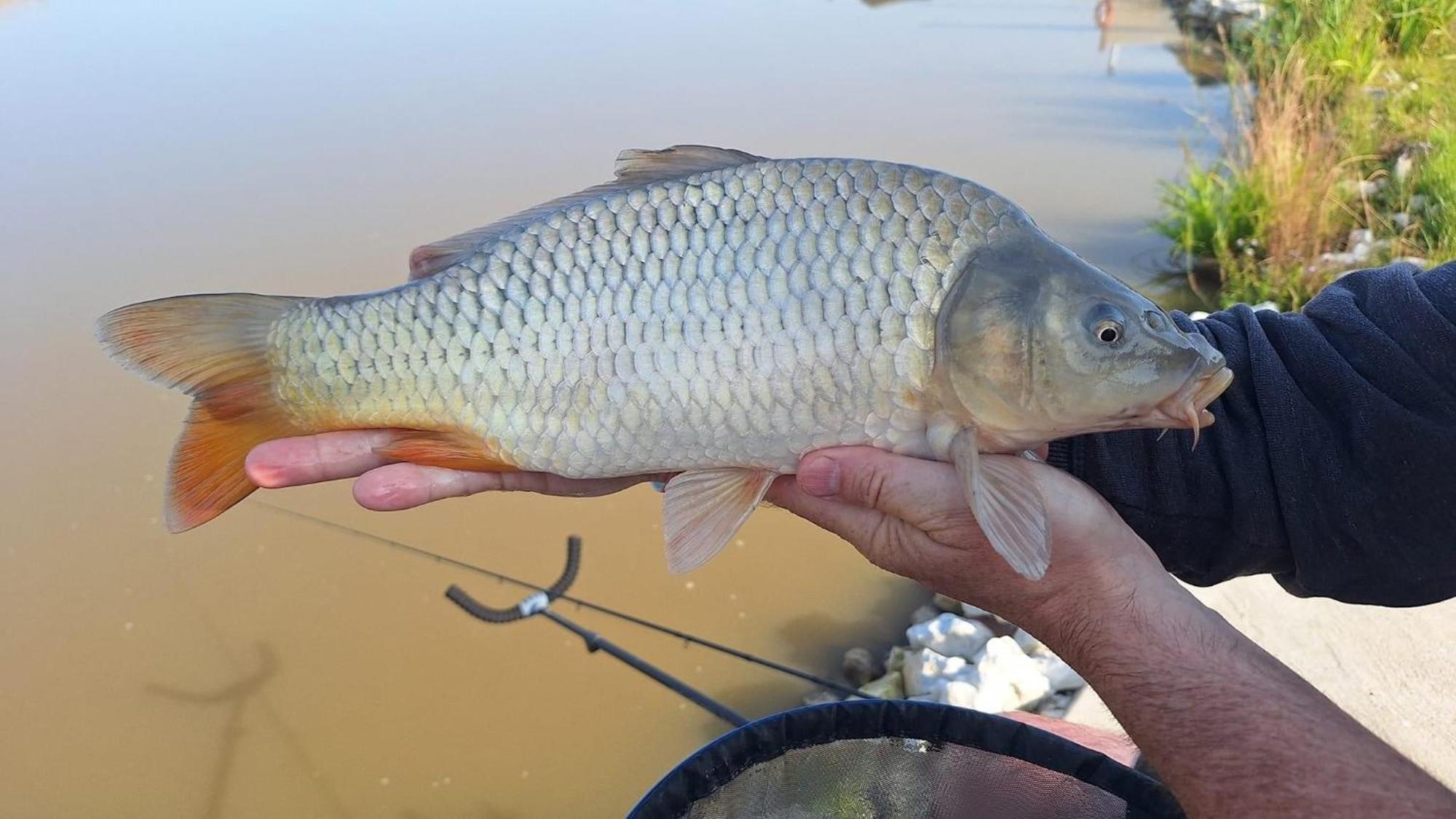 Lakeside Fishing Retreats Boston Ruang foto