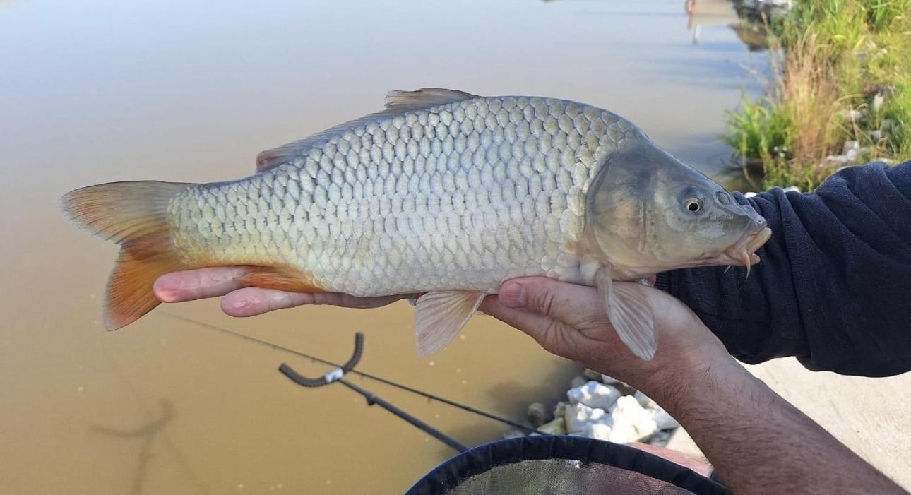 Lakeside Fishing Retreats Boston Ruang foto