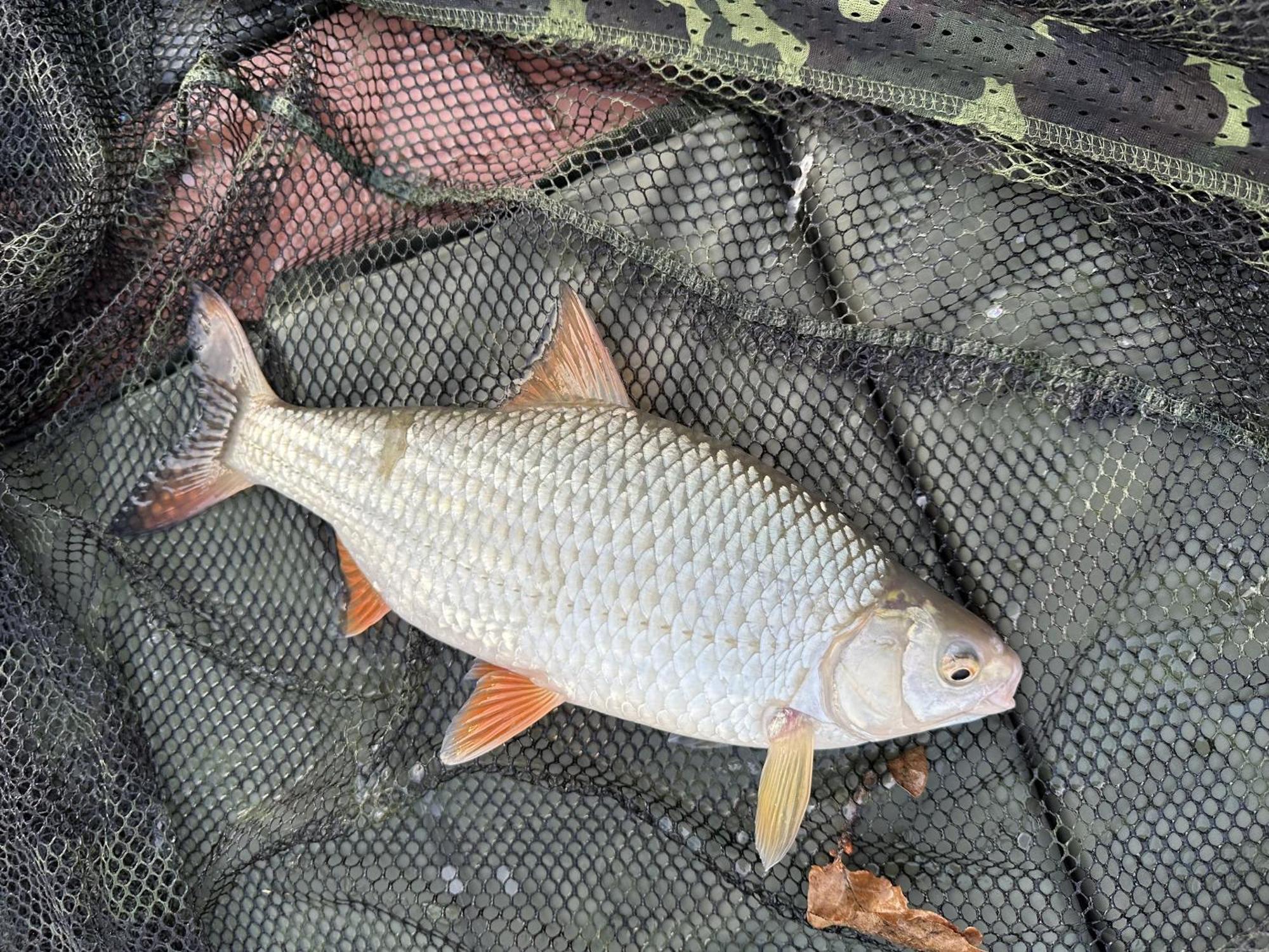 Lakeside Fishing Retreats Boston Ruang foto