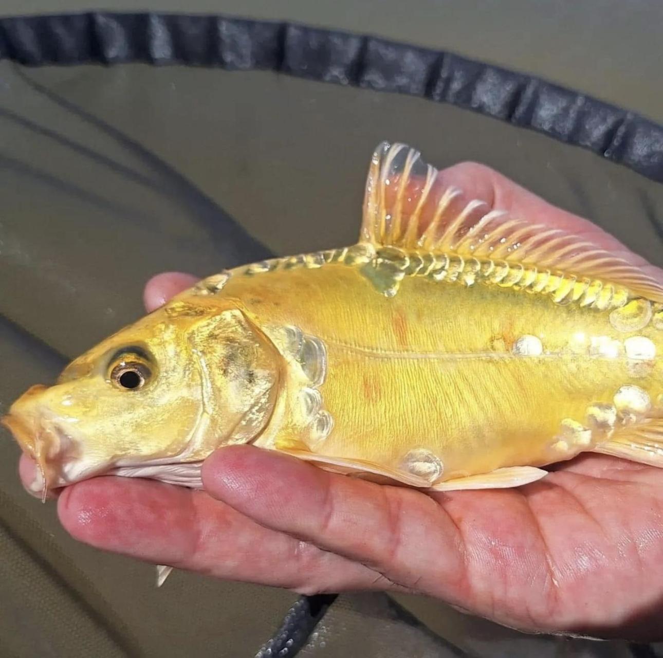 Lakeside Fishing Retreats Boston Bagian luar foto